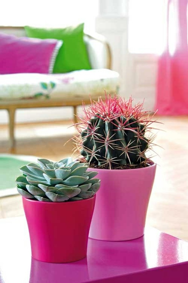 Feng Shui plants for harmony and positive energy in the living room Feng Shui plants for harmony and positive energy in the living room