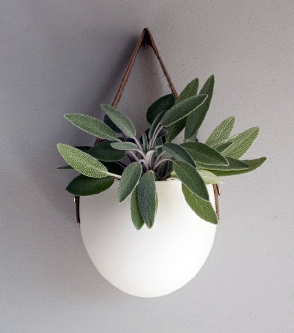 Feng Shui plants for harmony and positive energy in the living room