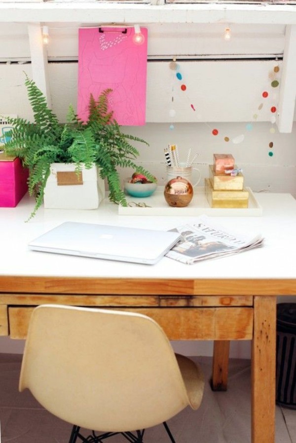 Feng Shui plants for harmony and positive energy in the living room