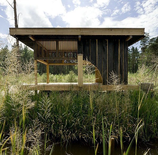 Simple tea house design in the Japanese style with exotic elements