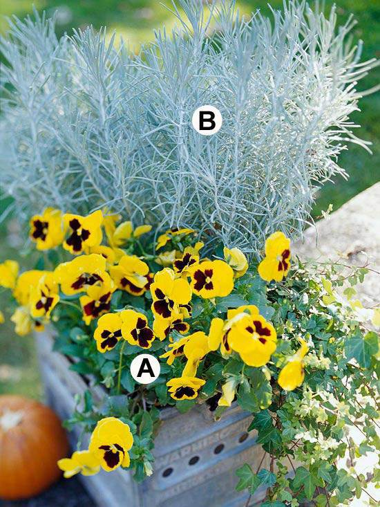Gartengestaltung - Useful tips for gardening in autumn Gartengestaltung - Useful tips for gardening in autumn