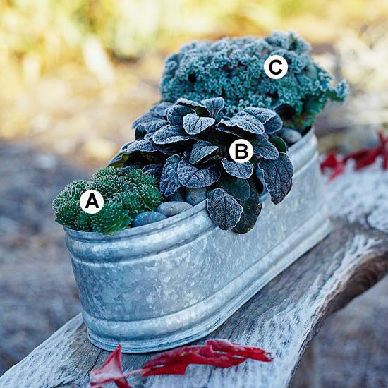 Useful tips for gardening in autumn Useful tips for gardening in autumn
