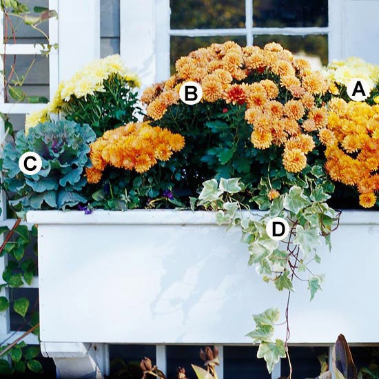 Useful tips for gardening in autumn Useful tips for gardening in autumn
