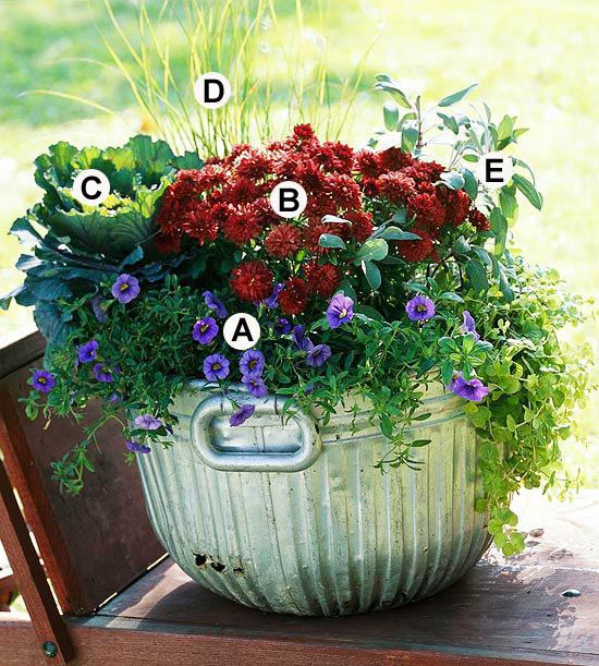 Useful tips for gardening in autumn