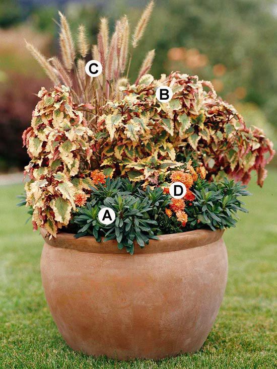 Useful tips for gardening in autumn