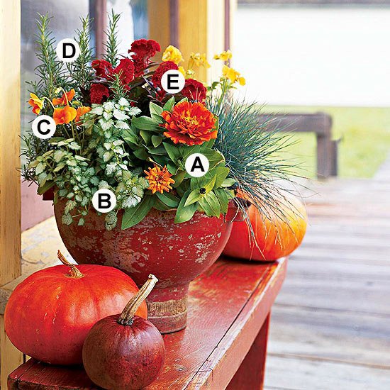 Useful tips for gardening in autumn