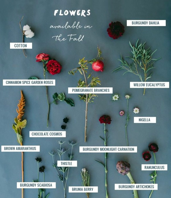 Insert autumn flowers as table decoration or home - great examples Insert autumn flowers as table decoration or home - great examples