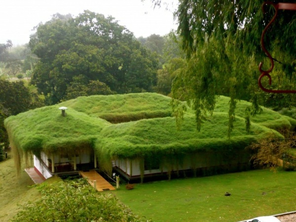 Green Roof Garden House - Exterior in Green