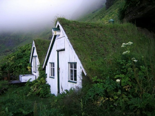 Green Roof Garden House - Exterior in Green