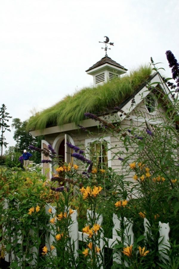 Green Roof Garden House - Exterior in Green