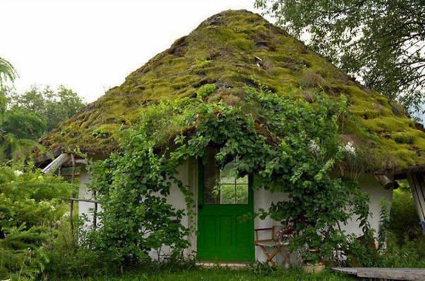 Green Roof Garden House - Exterior in Green