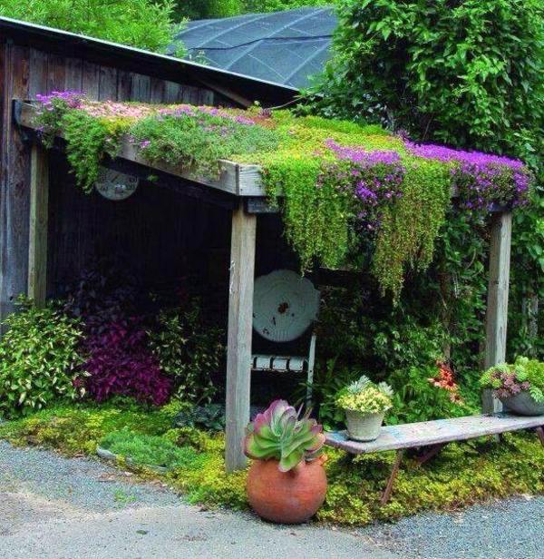 Green Roof Garden House - Exterior in Green