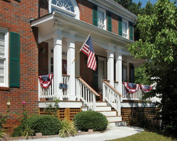 Trends - Celebrate Independence Day - Party Decoration in national colors
