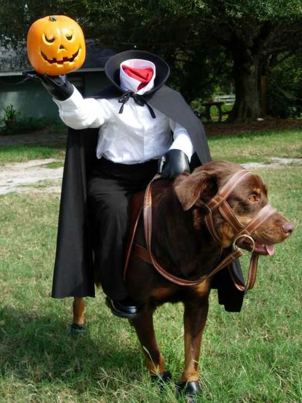 Cool Dog Clothing for Halloween Cool Dog Clothing for Halloween