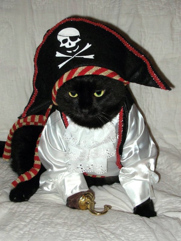 Cool Dog Clothing for Halloween Cool Dog Clothing for Halloween
