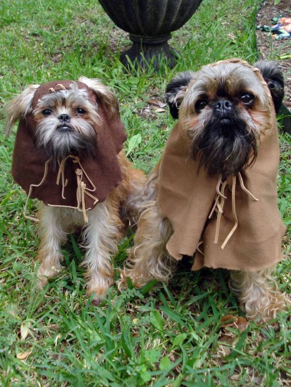 Cool Dog Clothing for Halloween Cool Dog Clothing for Halloween