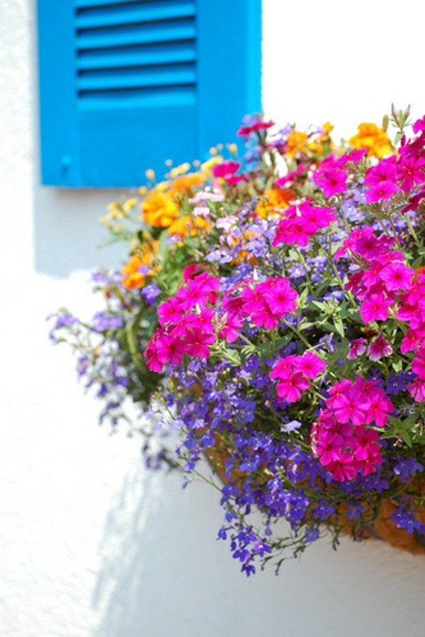 55 Balcony Greenery Ideas Choose flowers for balcony and arrange Avso