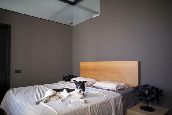 Creative apartment with flowing design - a fresh furnishing idea from Kiev