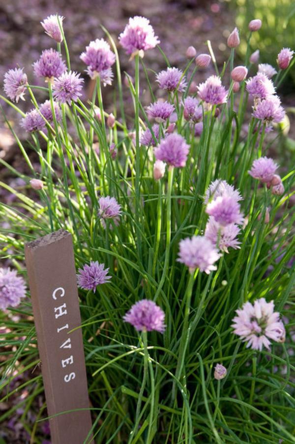 Landscaping and gardening in spring Landscaping and gardening in spring