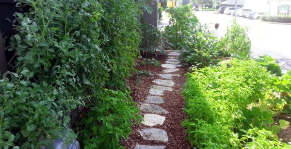 Landscaping and gardening in spring Landscaping and gardening in spring