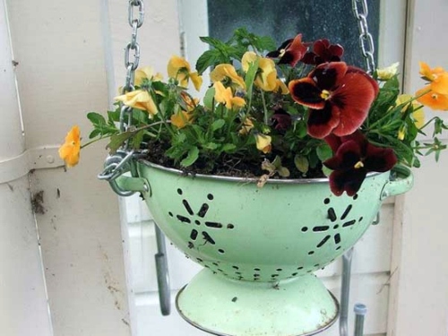 Balcony plants - cool space-saving ideas Balcony plants - cool space-saving ideas