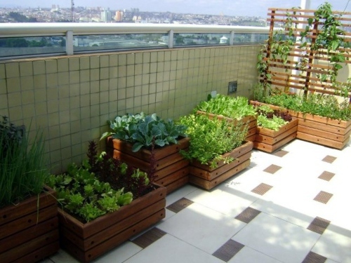 Balcony plants - cool space-saving ideas