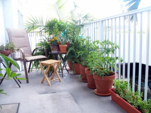 Balcony plants - cool space-saving ideas Balcony plants - cool space-saving ideas