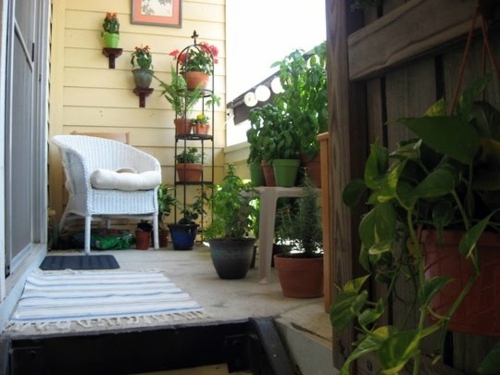 Balcony plants - cool space-saving ideas Balcony plants - cool space-saving ideas