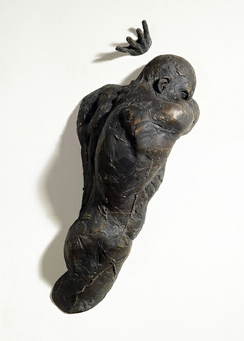 Incredible realistic wall sculptures by Matteo Pugliese