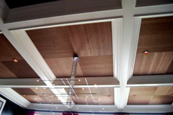 Ceiling Design Ideas
