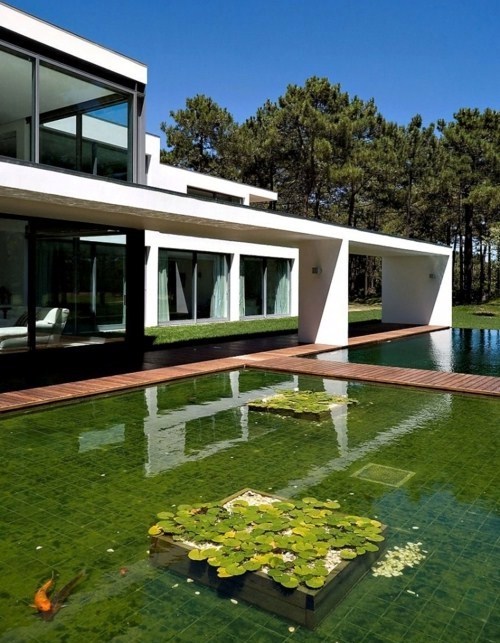 House with garden pond in the woods