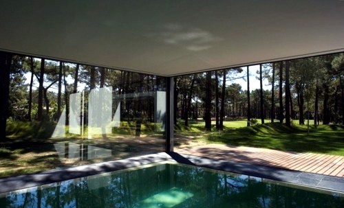 House with garden pond in the woods