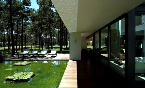 House with garden pond in the woods