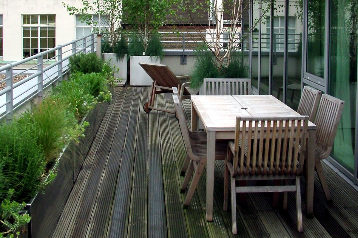 A garden on the roof terrace