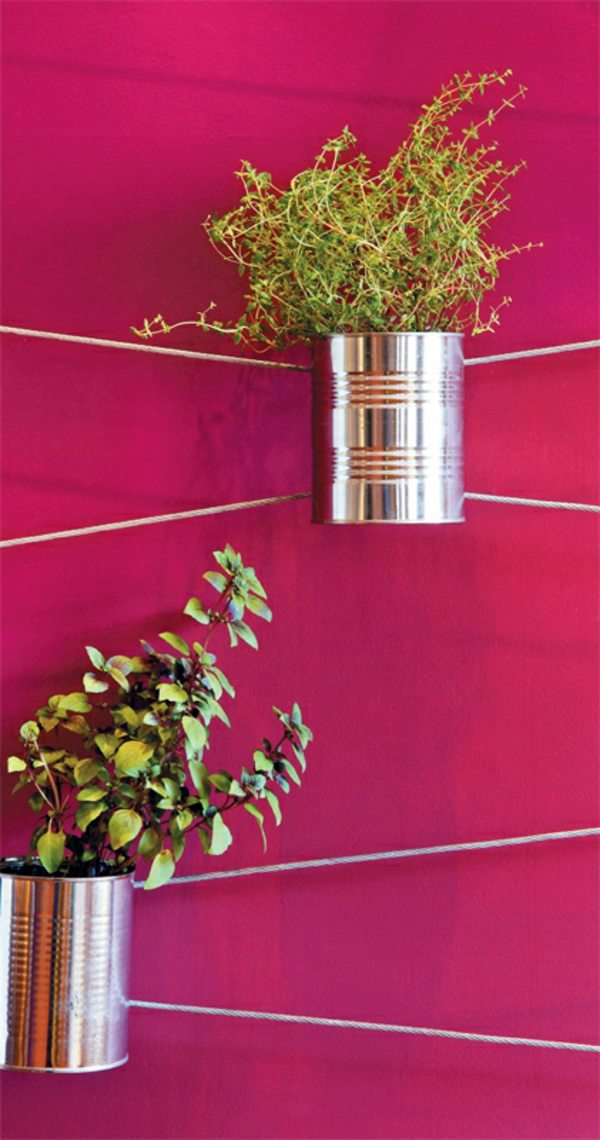 DIY - Do it yourself - Have always friche herbal hand grasp at home - herbal plants DIY - Do it yourself - Have always friche herbal hand grasp at home - herbal plants