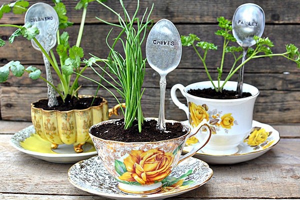 Have always friche herbal hand grasp at home - herbal plants Have always friche herbal hand grasp at home - herbal plants
