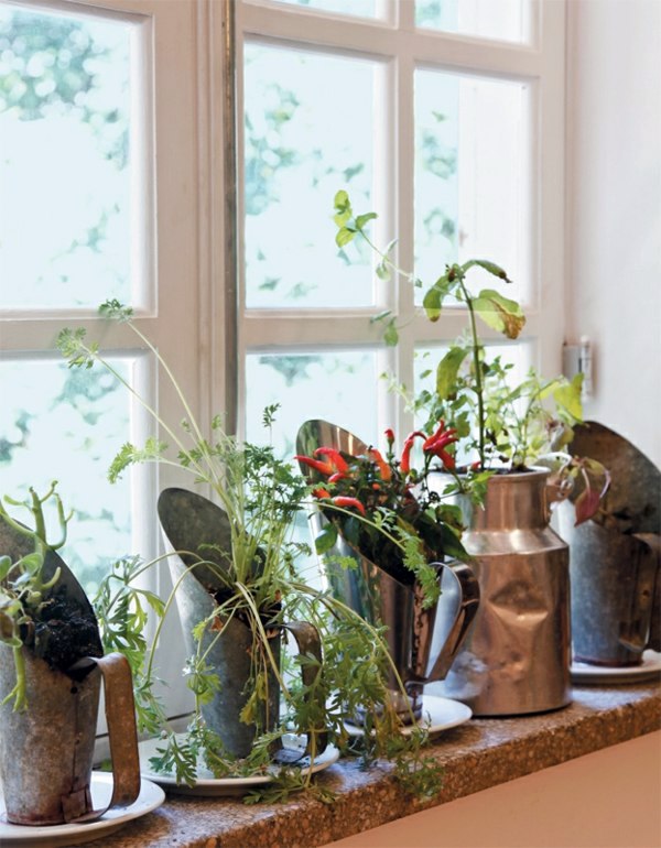 Gartenzubehör - Have always friche herbal hand grasp at home - herbal plants