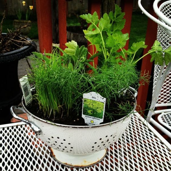 Have always friche herbal hand grasp at home - herbal plants Have always friche herbal hand grasp at home - herbal plants
