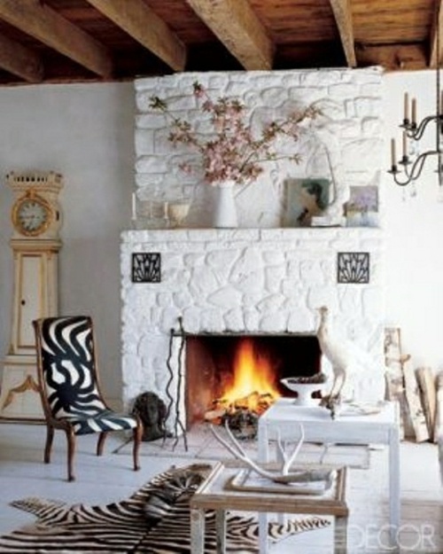 Zebra and leopard pattern in the interior