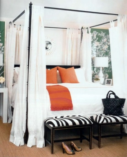 Zebra and leopard pattern in the interior