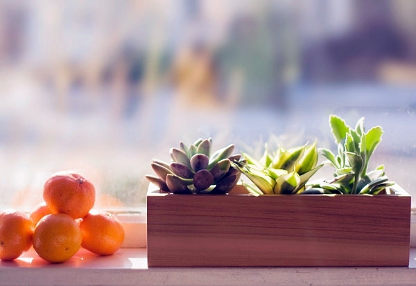 20 splendid ideas for party favors - Do you fancy parties and feasts?