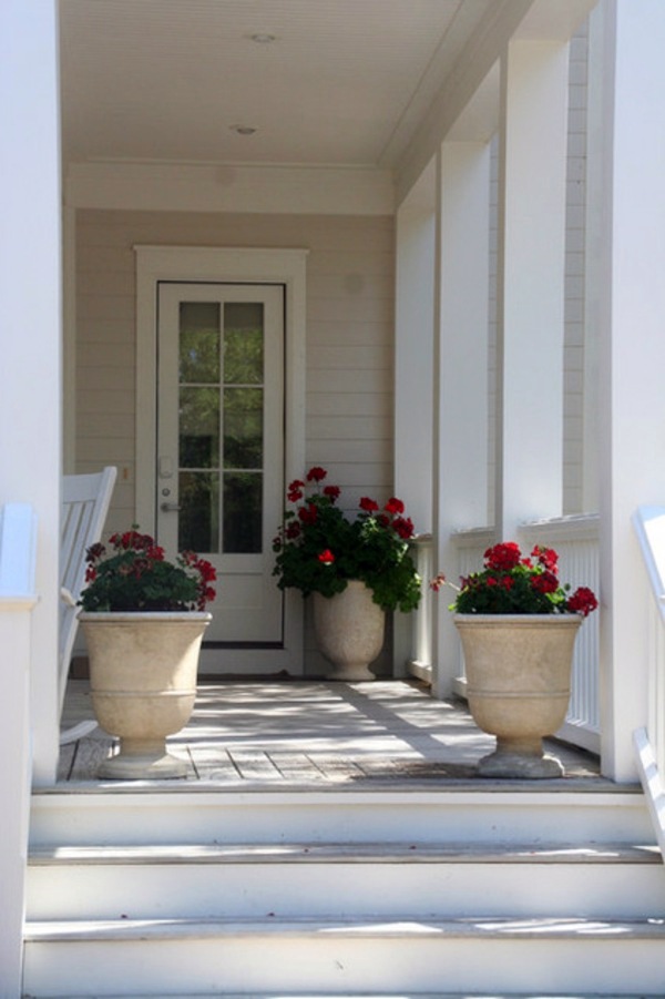 Just make a summer oasis by a few tropical plants in flowerpot