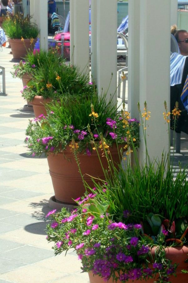 Just make a summer oasis by a few tropical plants in flowerpot
