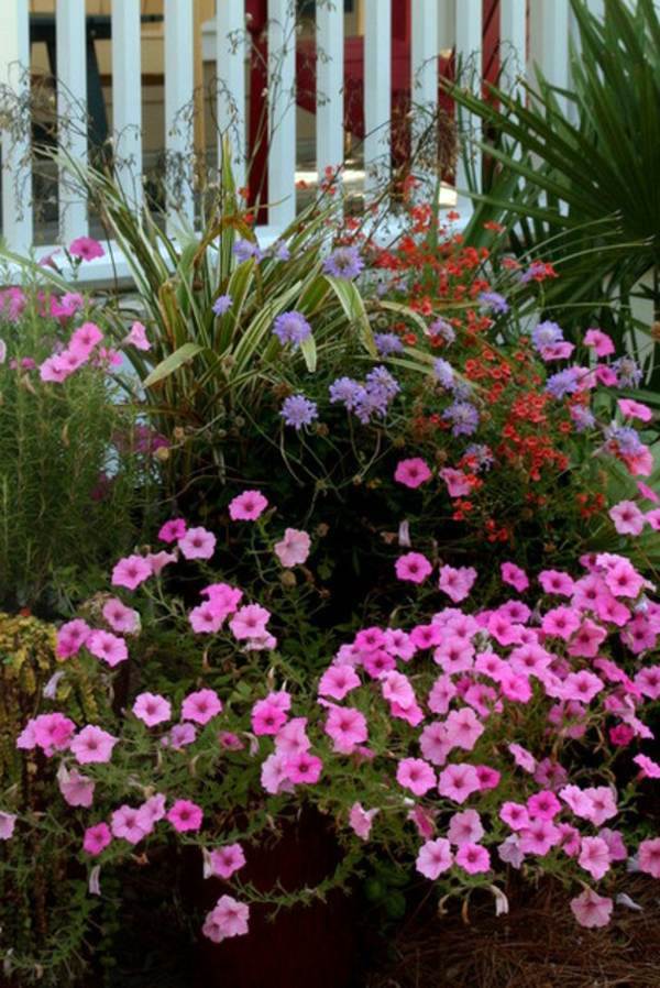 Just make a summer oasis by a few tropical plants in flowerpot