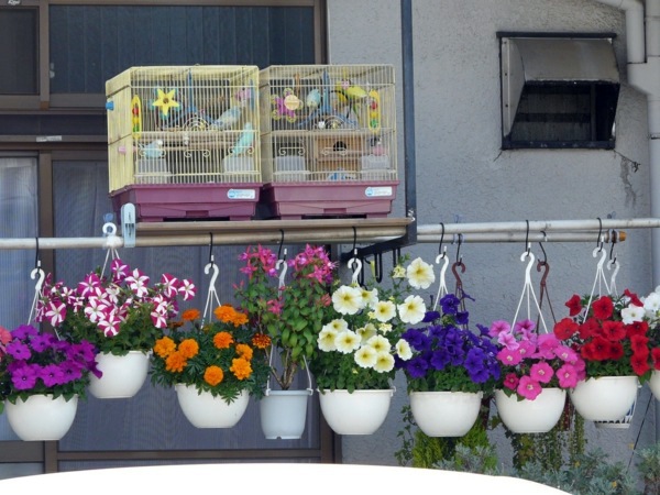 On Balcony Make Hanging Garden Cool Ideas For Small Garden On The Balcony Interior Design Ideas Avso Org