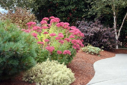 Gartengestaltung - Always stay cool in the garden - here are our advice on what to do in August Gartengestaltung - Always stay cool in the garden - here are our advice on what to do in August