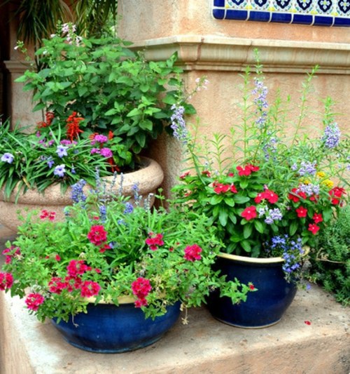 Always stay cool in the garden - here are our advice on what to do in August