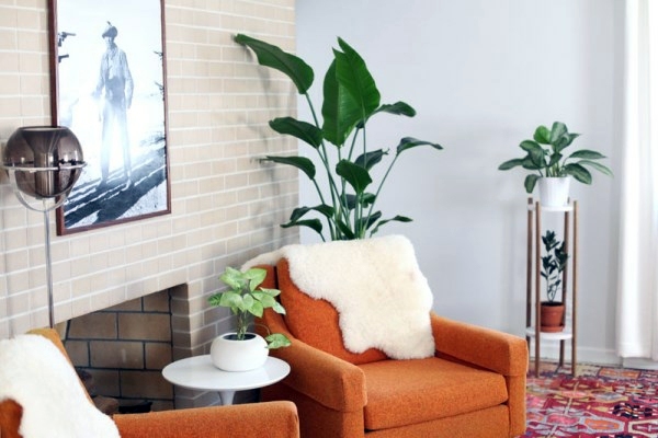 Modern decoration - a striking look to any room