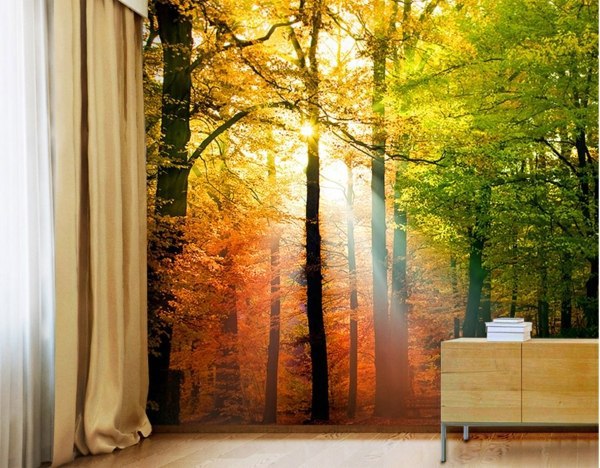 Wall with Murals - 34 exquisite inspirations