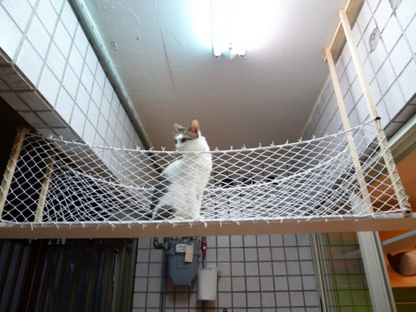 Modular Cat Climbing Wall of Catswall Modular Cat Climbing Wall of Catswall